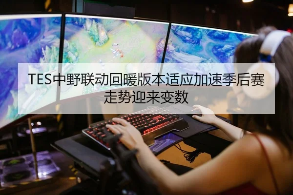 TES中野联动回暖版本适应加速季后赛走势迎来变数 - Bandao